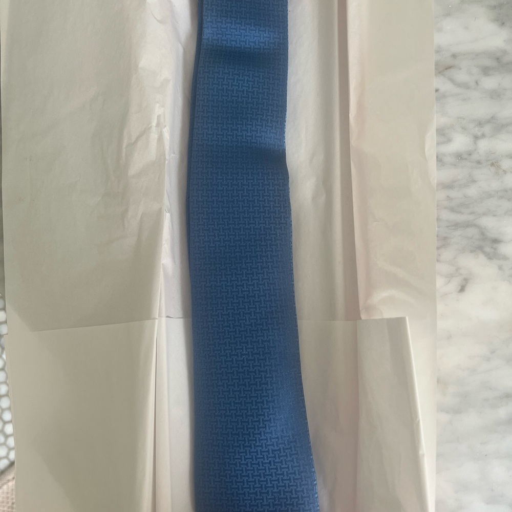 Hermes Blue Tie